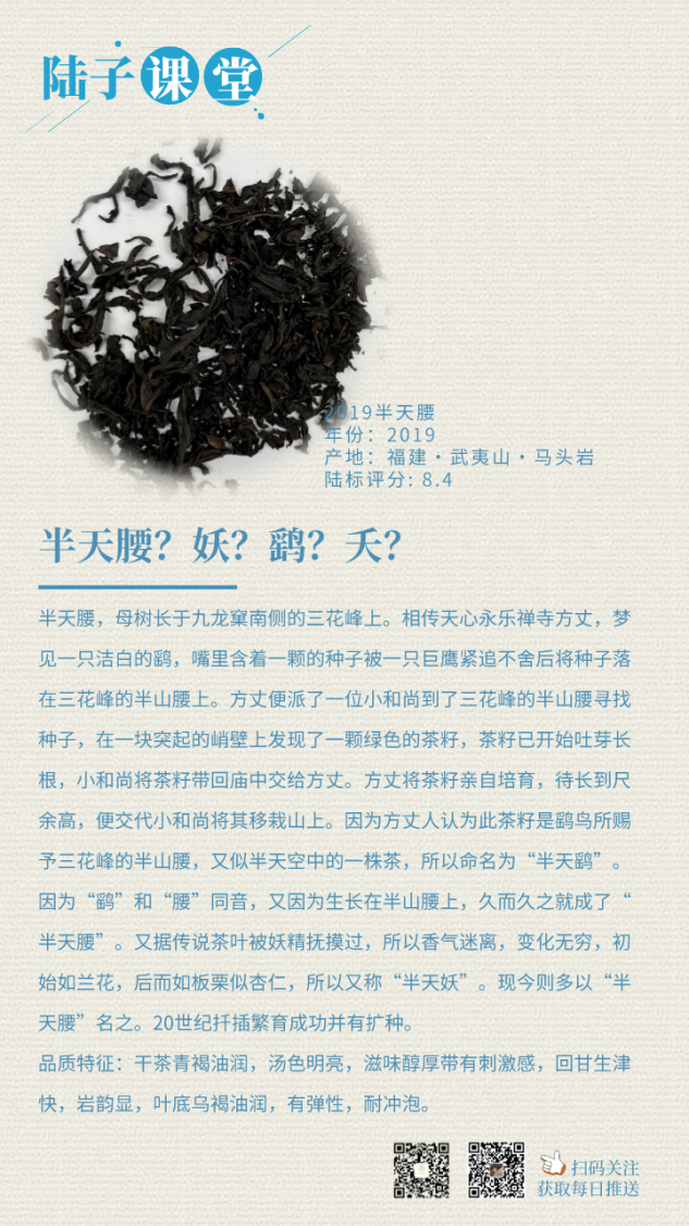 陆子传承-陆子课堂-茶叶系列1(1).png