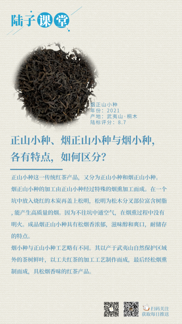 陆子传承-陆子课堂-茶叶系列3(1).png