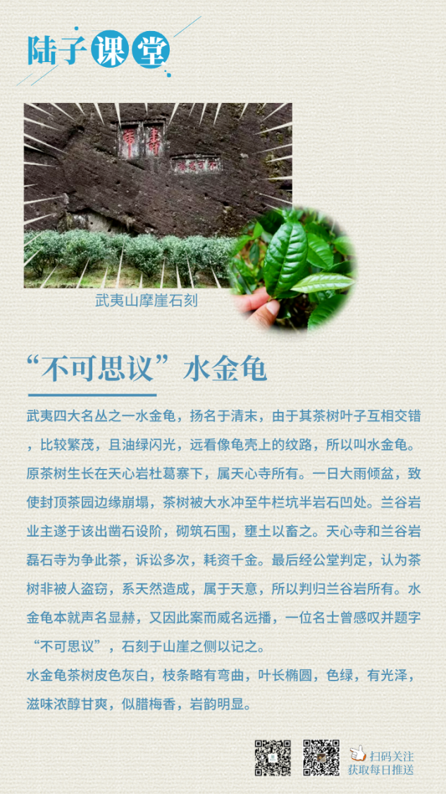 陆子传承-陆子课堂-茶叶系列2(1).png