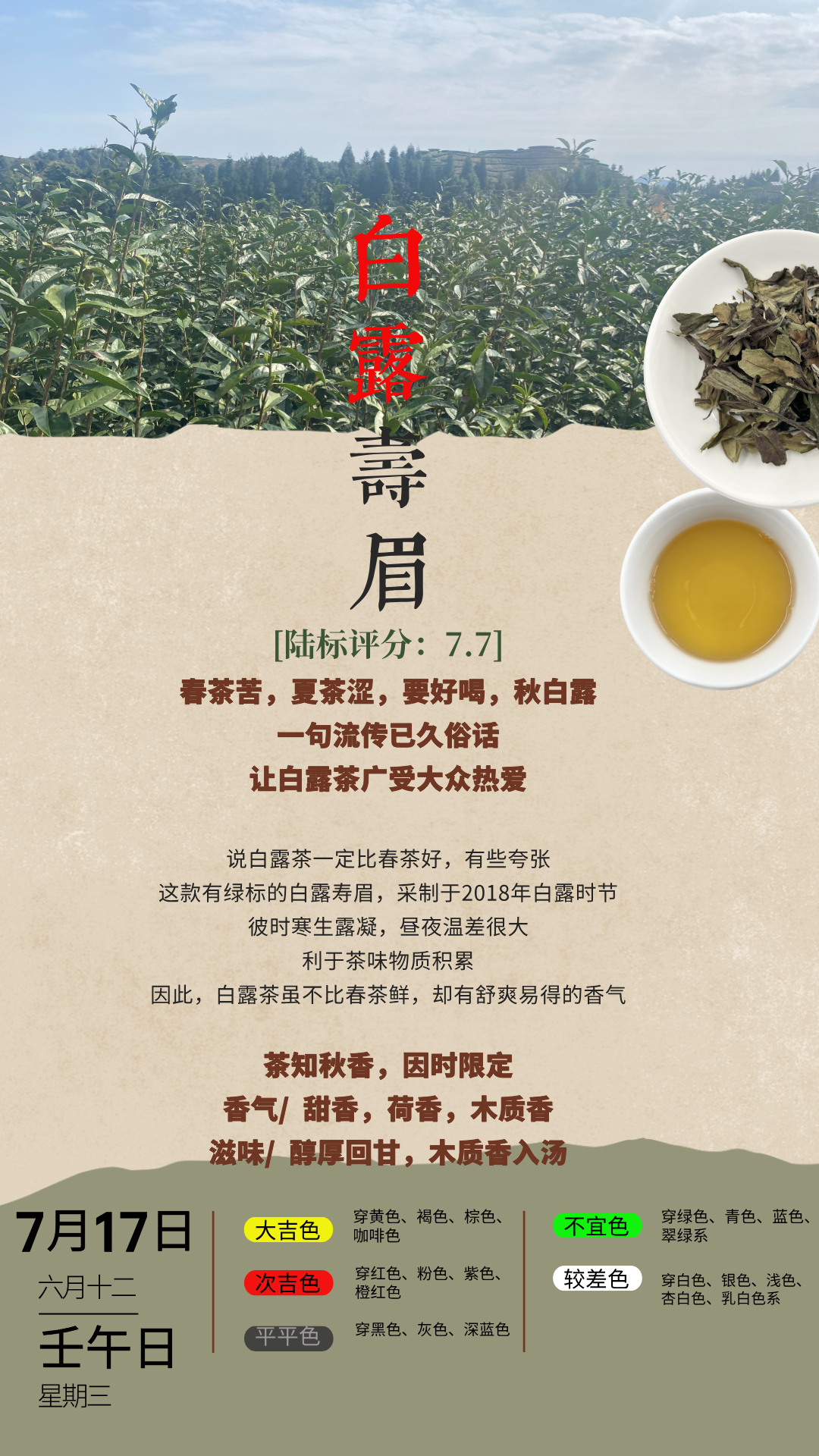 白露寿眉.png