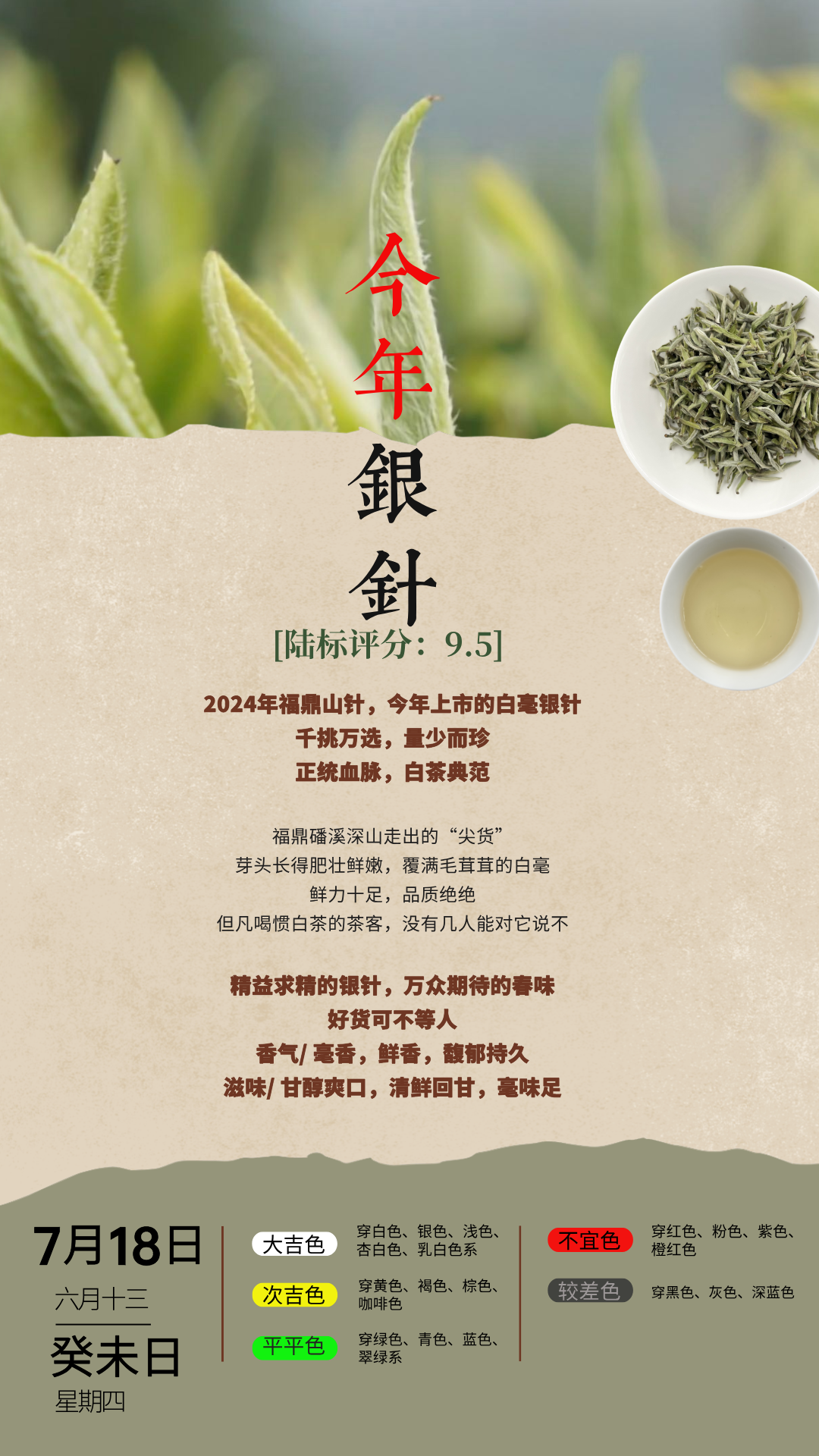 今年银针.png