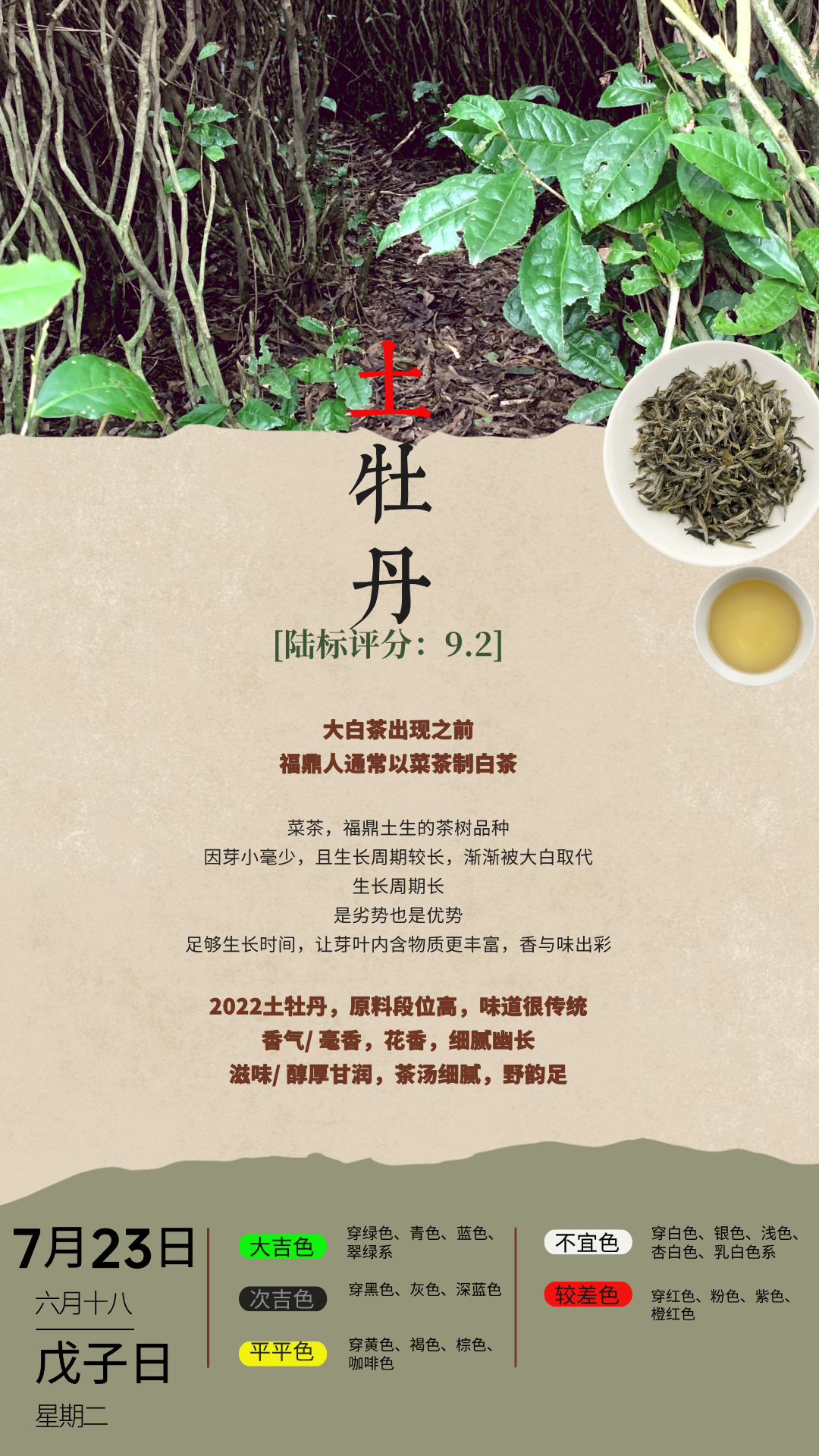 土牡丹.png