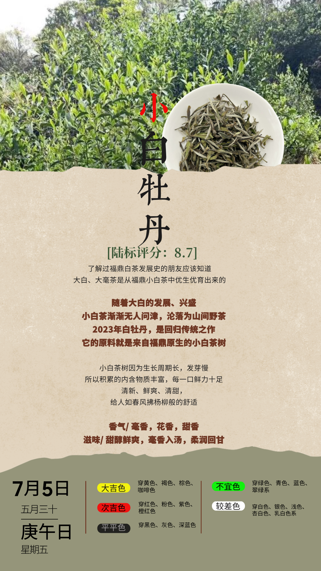 小白牡丹.png